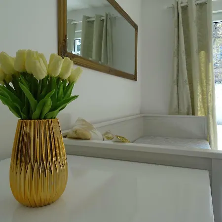 Dorothy 3 Appartement